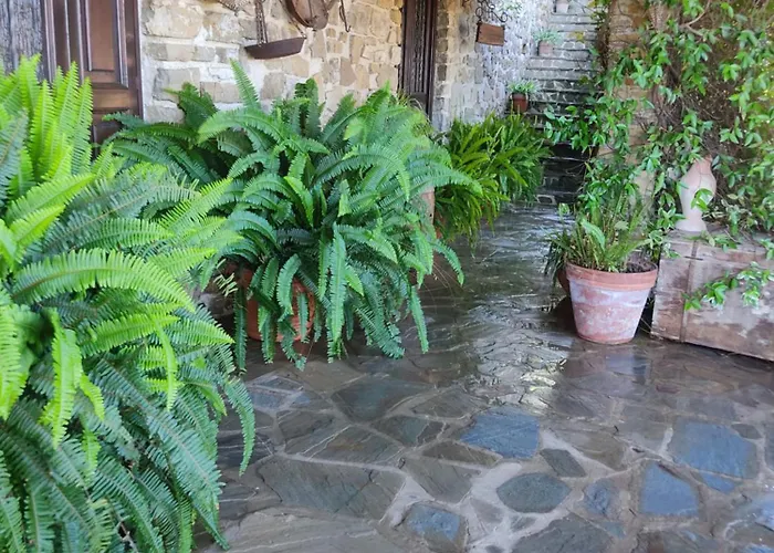 Chiusulelle 3* Ogliastro Cilento