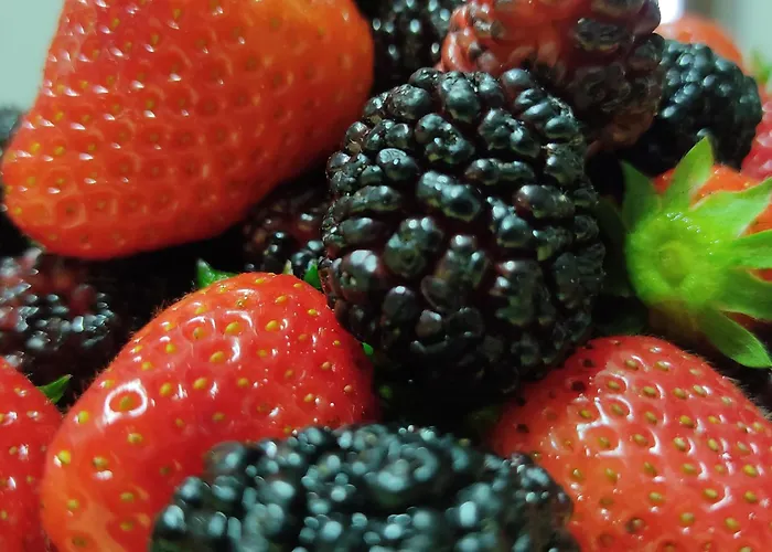 Chiusulelle 3* Ogliastro Cilento